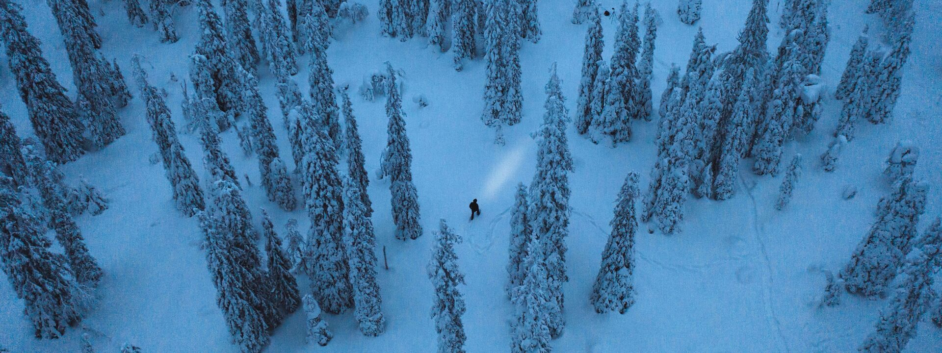 Tier- und Personensuche Drone Visuals - Kleinert & Leditschke GbR